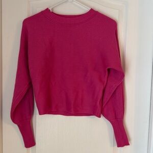 Pink Rose Long-sleeve Crop Top XS NWOT